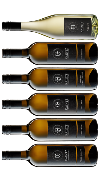 6er Probierset Weiss